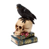 Livre Crow assis sur le crâne