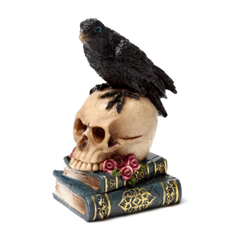 Livre Crow assis sur le crâne