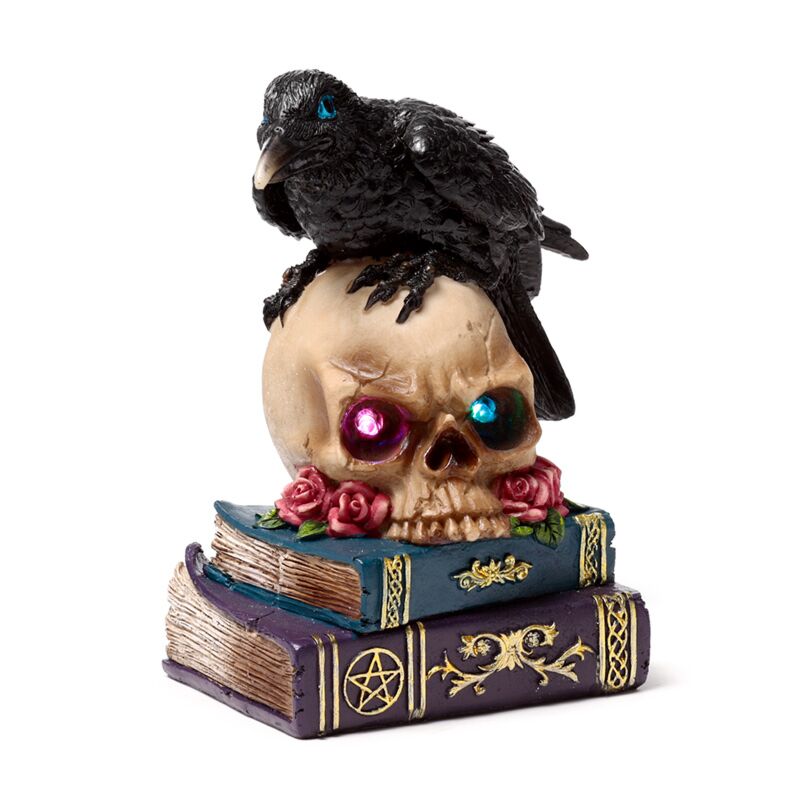 Crow perché sur les livres du crâne LED