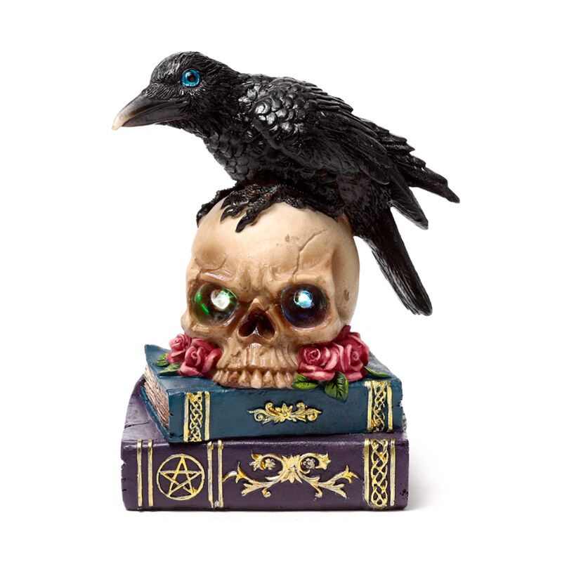Crow perché sur les livres du crâne LED