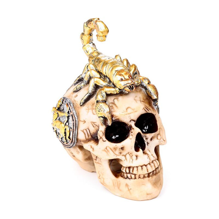 Ornement de crâne de Scorpion