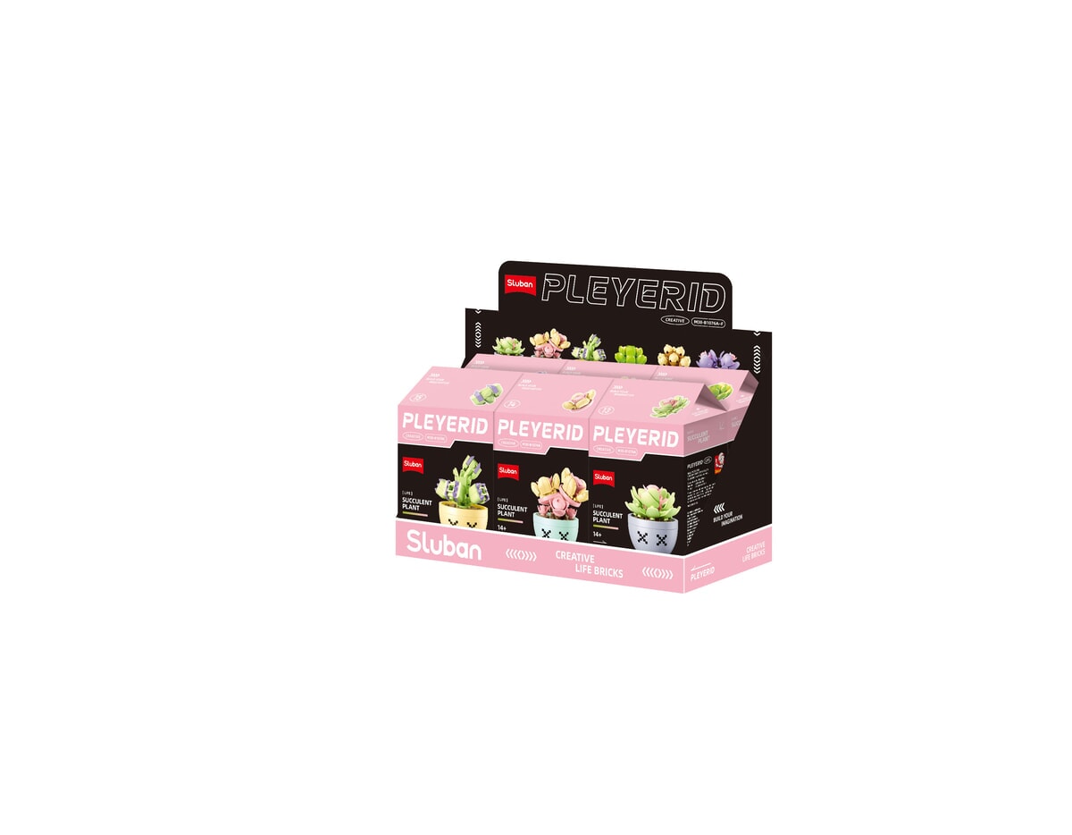 Présentoir de plantes succulentes en pot Sluban (m38-b1076)