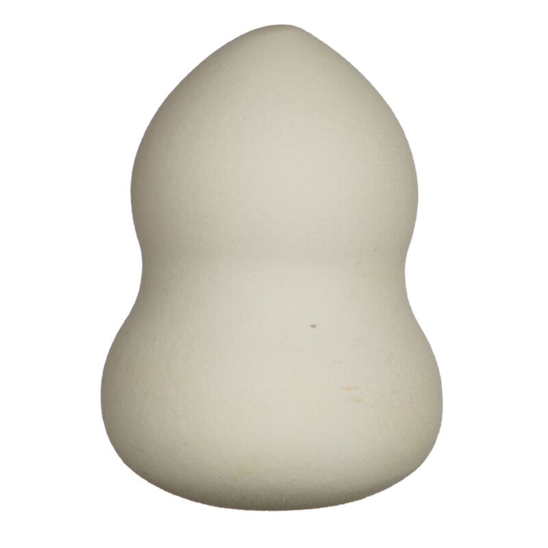 Chien roodle maquillage éponge