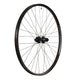 Roue avant Stans Stan's Flow EX3 - 29'' - 15x110 ta - 6 boulons - gris