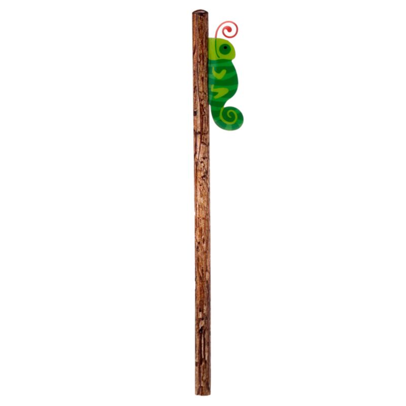 Crayon kameleon