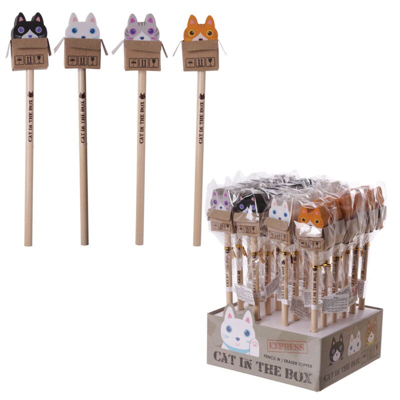 Chat dans la boîte - crayon de gomme