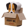 Chiot