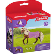 Schleich Horse Club Paso Fino Hengst Horse Show - afbeelding 2