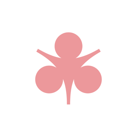Sram frein avant maven argent b1