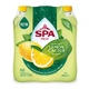 Bouchon de cactus citronné Spa fruit rkling (6x 400ml)