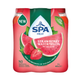 Bouchon pastèque fraise encore fruit Spa (6x 400ml)