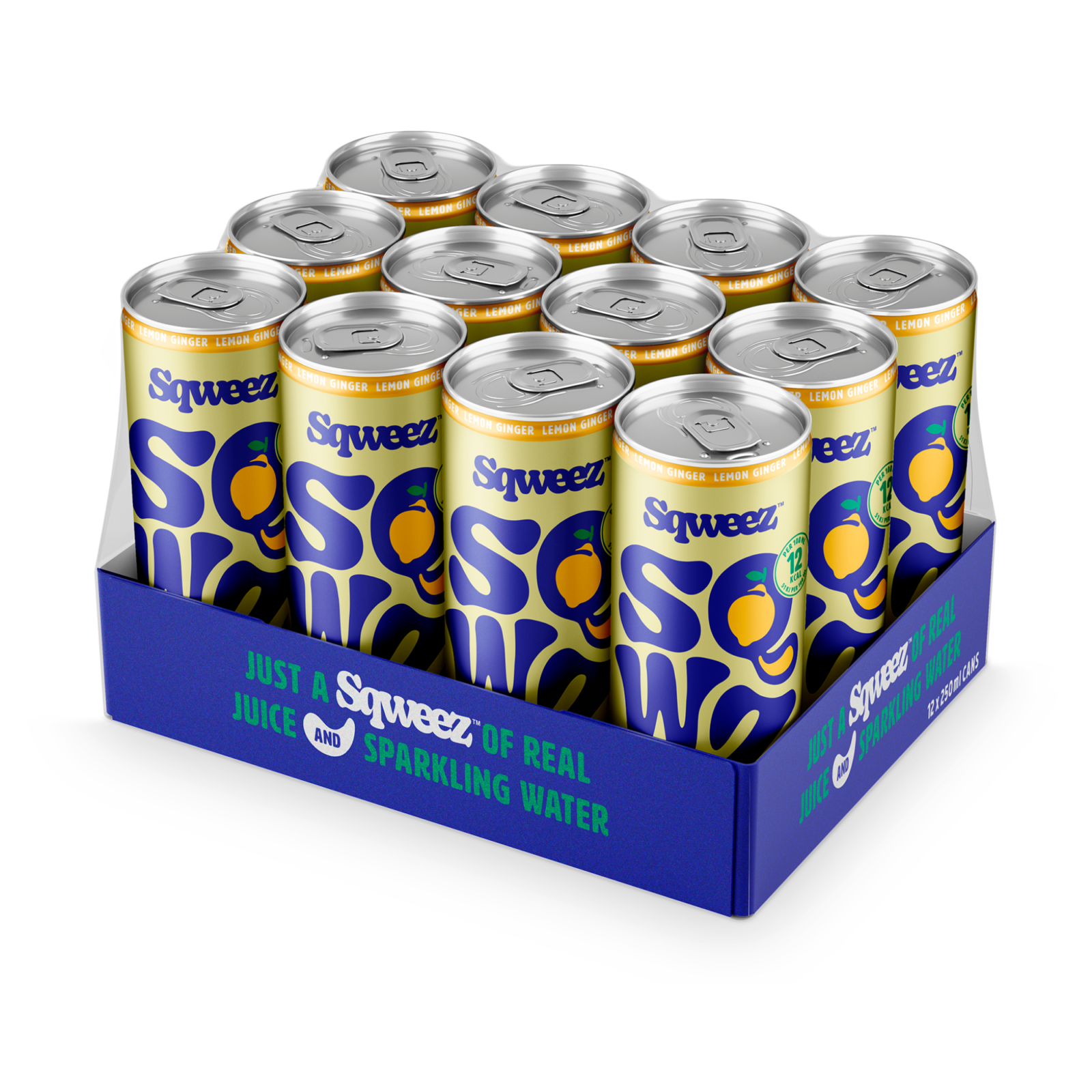 Boîte de conserve de gingembre et citron pressé (12x 250ml)