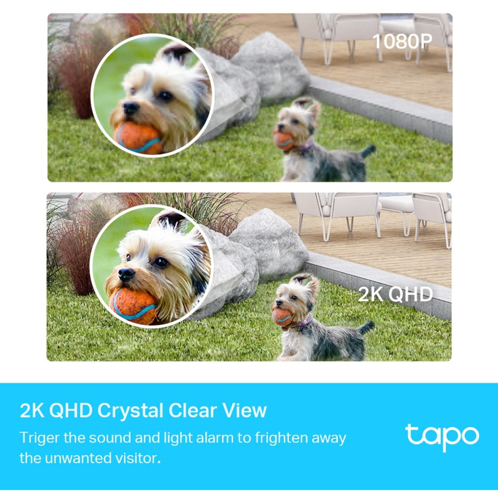 TP-Link Tapo C420S2