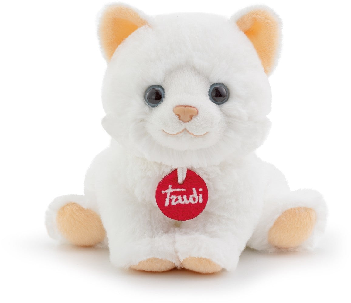 Chat chiot Trudi : 16x16x16 cm (s-tude5000)