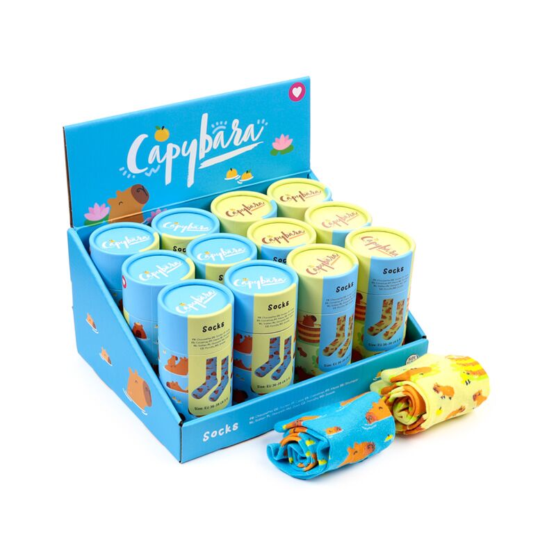Chaussettes Capybara en tube