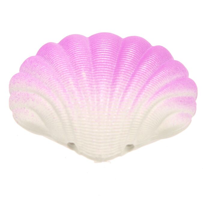Coquille de sortie de sirène
