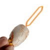 Baby dinosaure sortant 50 ml de la vessie