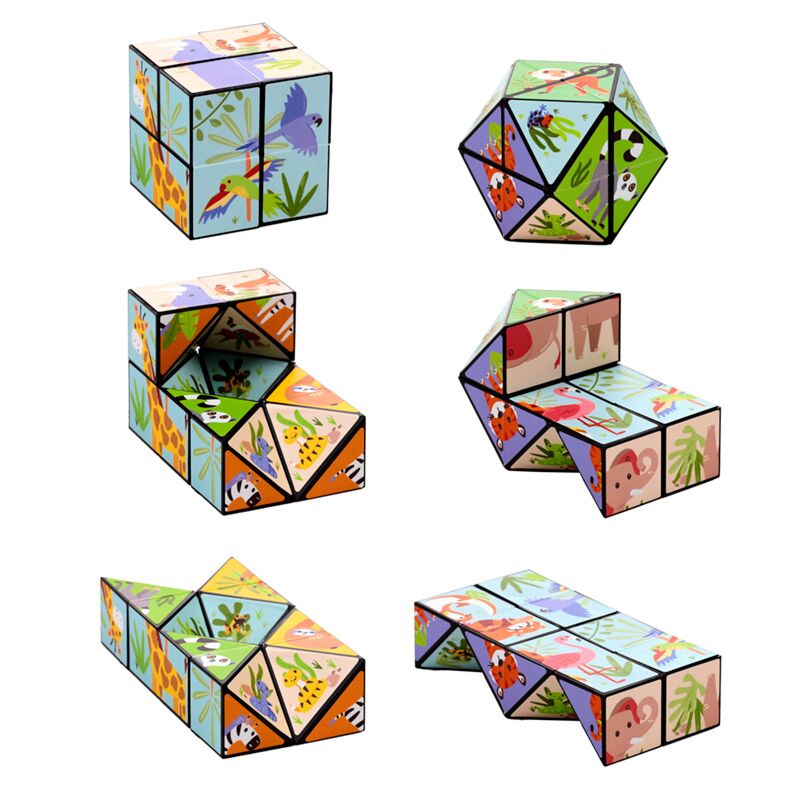 Fils -diverse Puzzle Cube Toys