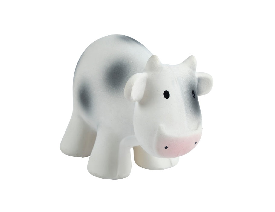 Tikiri ma première vache d'agriculteurs