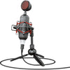 Trust GXT 244 Buzz USB Streaming Microphone