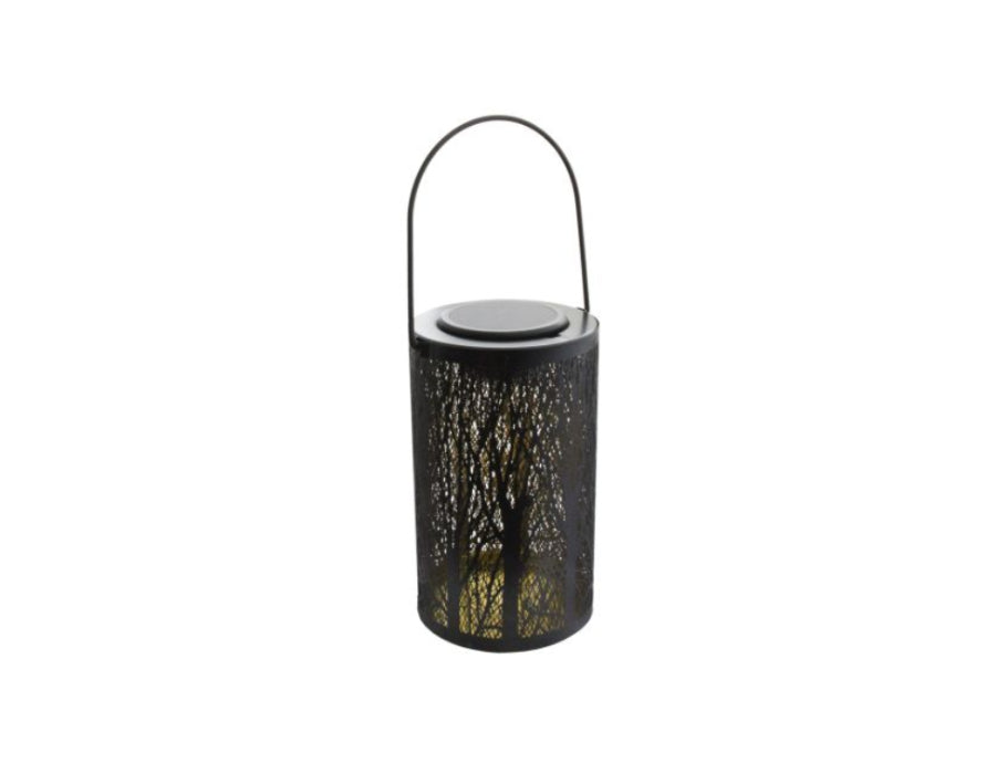 Lampe de jardin Solexpert sur l'arbre de vie de l'énergie solaire