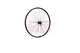 Roue avant Roland 28 ryde rival21 hbm5100