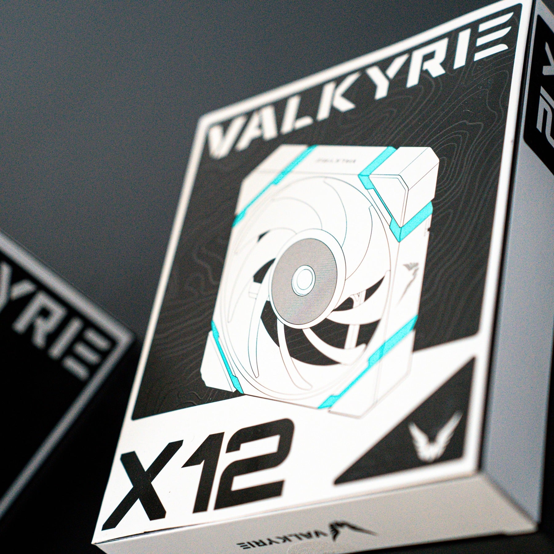 Valkyrie Valkyrie x12 argb noir