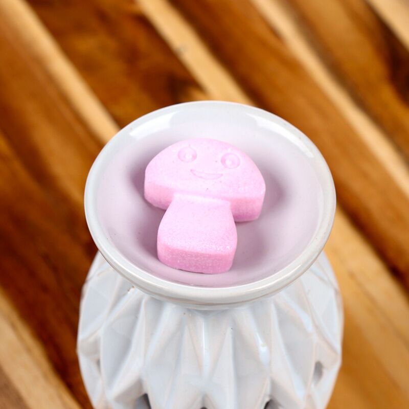 Ylang ylang ensemble de 6 waxmelts
