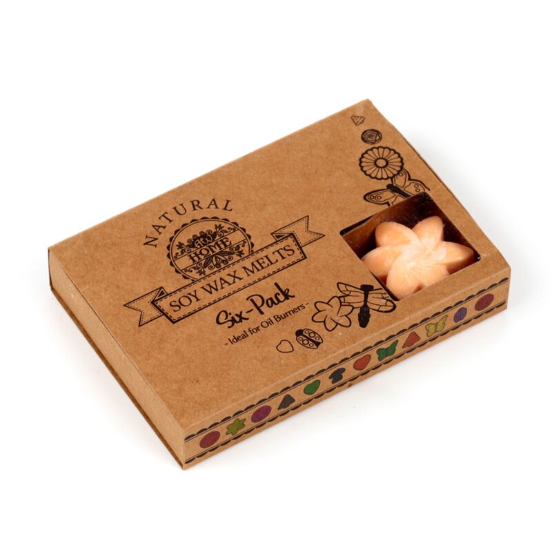 Ensemble de fruits de mangue de 6 eaux de cire