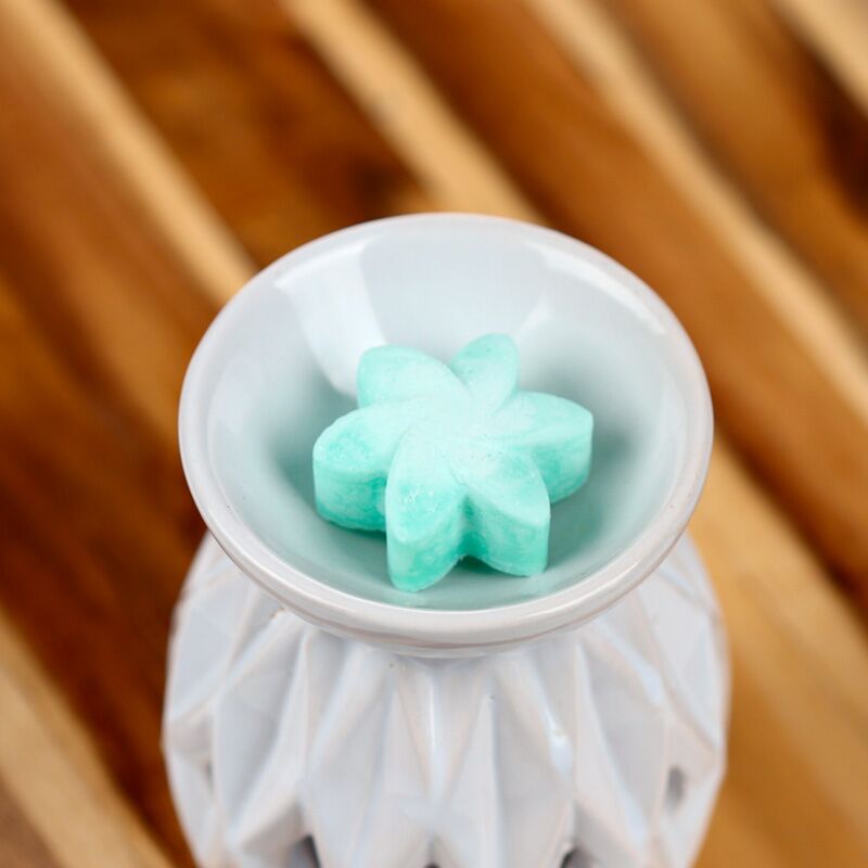 Ensemble de jardin secret de 6 tabaces de cire