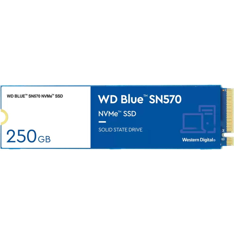 WD Blue SN570 250 Go
