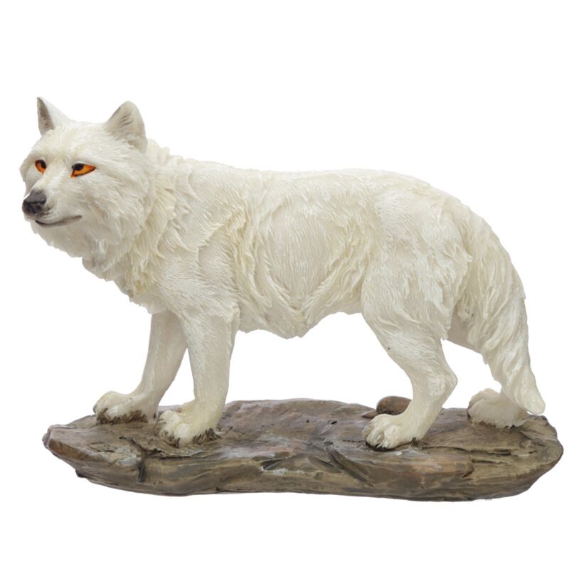 Protecteur de l'esprit nord de la nuit Wolf Image