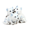 Trio de chiots de loup