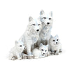 Famille de chiots de loup