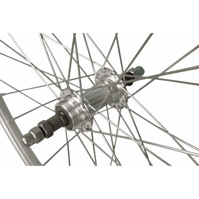 Roue arrière Roland P24H 28 36G 7V fols comme comme tel comme ASL
