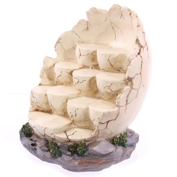 Baby Dragons Egg Collector's World Diplay