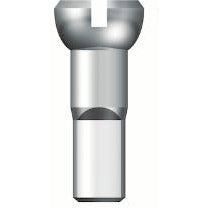 SAPIM SPAAK NIPPLE SP13 SAG (500 pièces)