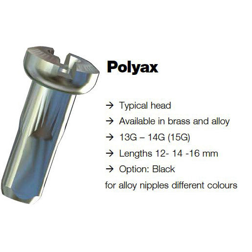 Écrou de rayon Sapim 14 polyax 16mm laiton noir (100pcs)