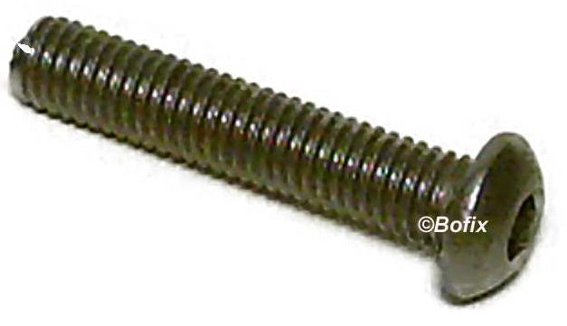 Xtrabike Bout Zon Bolkop M6X45 en acier inoxydable