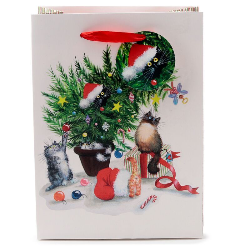Kim Haskins Christs Cats - Sac cadeau médium
