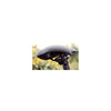 Selle Royal Selle Saddle Explora Jr M (20-22 pouces) noir