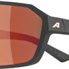 Alpina Swift - lunettes de sport