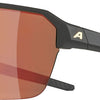Alpina swift hr - lunettes de sport