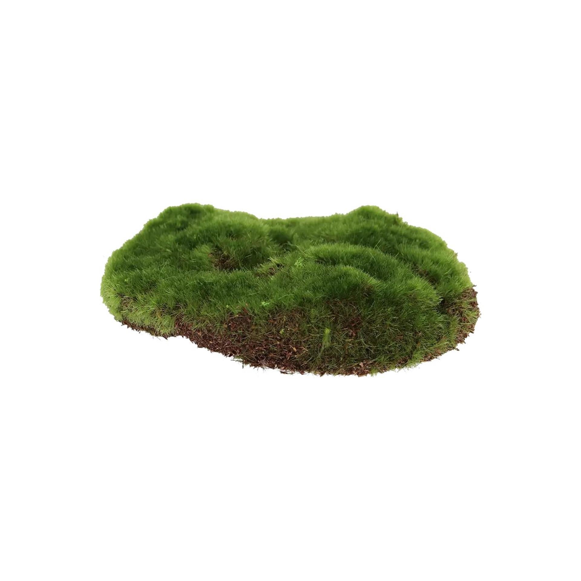 Esschert design mousse artificielle s 15x13cm