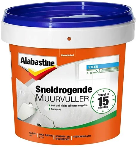 Enduit mural à séchage rapide Alabastine 1kg - 5095977