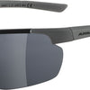 Alpina defey hr - lunettes de sport