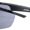 Alpina defey hr - lunettes de sport