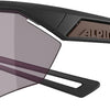 Alpina nylos hr - lunettes de sport