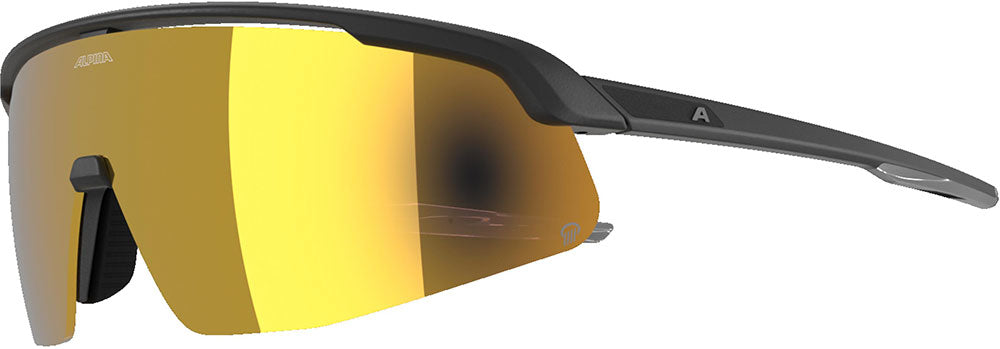 Alpina turbo pro q - lunettes de sport
