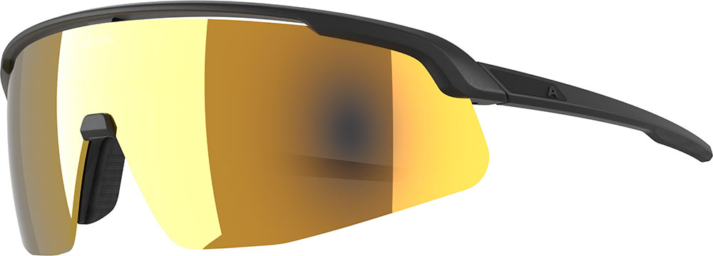 Alpina turbo pro s q - lunettes de sport